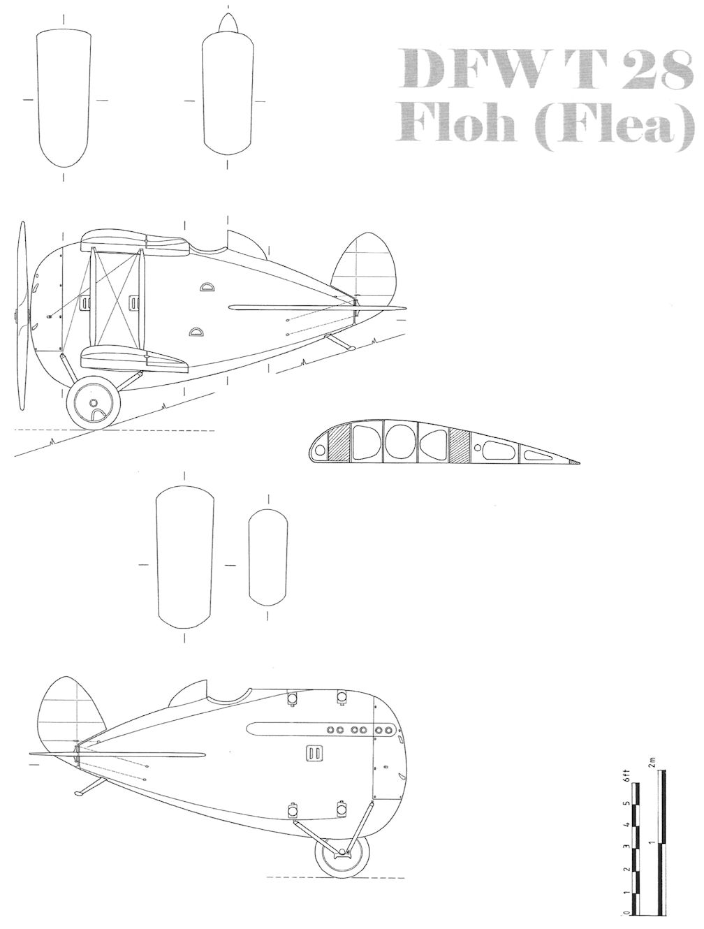 DFW T28 Floh